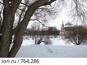 Вологда. Церковь Иоанна Златоуста ( Мироносицкая ) (2009 год). Стоковое фото, фотограф Румянцева Наталия / Фотобанк Лори
