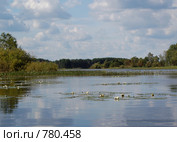 Река Малога. Стоковое фото, фотограф Елена Азарнова / Фотобанк Лори
