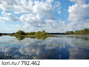 Река Малога. облака отражаются в реке. Стоковое фото, фотограф Елена Азарнова / Фотобанк Лори