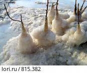 Мертвое море (2006 год). Стоковое фото, фотограф Irina Opachevsky / Фотобанк Лори