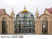 Челябинск. Свято-Симеоновский храм (2008 год). Стоковое фото, фотограф Julia Nelson / Фотобанк Лори
