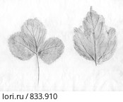 Фон.Растения. Стоковая иллюстрация, иллюстратор Наталия Печёрских / Фотобанк Лори