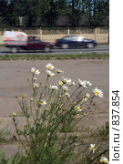 У дороги. Стоковое фото, фотограф Омельян Светлана / Фотобанк Лори