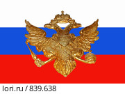 Российский герб. Стоковое фото, фотограф Елена Галачьянц / Фотобанк Лори