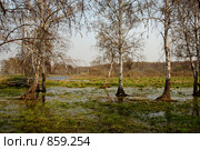 Весна. Разлив. Стоковое фото, фотограф Виктор Ковалев / Фотобанк Лори