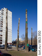 "Озеленение" Москвы (2009 год). Редакционное фото, фотограф Виноградов Дмитрий Владимирович / Фотобанк Лори