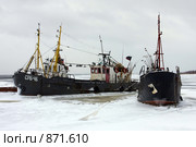Во льдах (2009 год). Редакционное фото, фотограф Литвяк Игорь / Фотобанк Лори