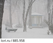 Снегопад. Стоковое фото, фотограф Кравецкий Геннадий / Фотобанк Лори
