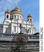 Храм Христа Спасителя (2009 год). Стоковое фото, фотограф Анна Белова / Фотобанк Лори