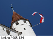 Бравый солдат (2008 год). Стоковое фото, фотограф Марченко Дмитрий / Фотобанк Лори