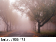 Утро в парке. Стоковое фото, фотограф ВЛАДИМИР КУДРИНСКИЙ / Фотобанк Лори