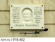 Воронеж. Табличка на здании кукольного театра (2009 год). Редакционное фото, фотограф Корчагина Полина / Фотобанк Лори