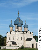 Собор Рождества Богородицы (Суздаль) (2009 год). Редакционное фото, фотограф Хименков Николай / Фотобанк Лори