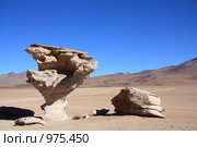 Каменное дерево (Arbol de Piedra) (2009 год). Стоковое фото, фотограф Кирилл Трифонов / Фотобанк Лори