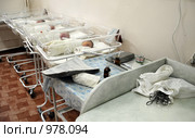Новорожденные младенцы (2009 год). Редакционное фото, фотограф Катерина Белякина / Фотобанк Лори
