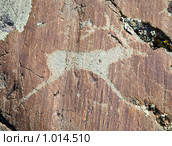 Древние рисунки на скалах Алтая. Стоковое фото, фотограф hunta / Фотобанк Лори