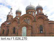 Станица Нижнекундрюченская. Христо-Рождественский храм (2008 год). Стоковое фото, фотограф Александр Тихонов / Фотобанк Лори