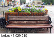 Скамейка и вазон с цветами на бульваре в Екатеринбурге (2009 год). Редакционное фото, фотограф Наталья Савельева / Фотобанк Лори