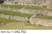 Террасы руин Мачу Пикчу (Machu Picchu) (2009 год). Стоковое фото, фотограф Кирилл Трифонов / Фотобанк Лори