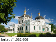 Гагарин (Смоленская область): собор Благовещения (2009 год). Стоковое фото, фотограф Дмитрий Яковлев / Фотобанк Лори