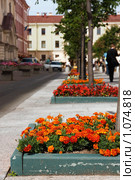 Питер в цветах (2009 год). Стоковое фото, фотограф Михаил Митин / Фотобанк Лори