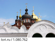 Купола Старого и Нового Богоявленского собора. Богоявленско Анастасиин монастырь г. Кострома. Стоковое фото, фотограф ElenArt / Фотобанк Лори