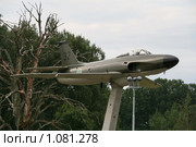 Самолет  (Швеция) (2009 год). Редакционное фото, фотограф Александр Секретарев / Фотобанк Лори