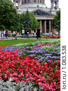 Питер в цветах (2009 год). Стоковое фото, фотограф Михаил Митин / Фотобанк Лори