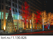 Новогодняя иллюминация в Баку, Азербайджан (2006 год). Стоковое фото, фотограф Elnur / Фотобанк Лори