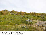 Соловецкие острова. Большой Заяцкий остров. Лабиринт. (2009 год). Редакционное фото, фотограф Михаил Ворожцов / Фотобанк Лори