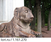 Мокрый каменный лев в Петергофе (2009 год). Редакционное фото, фотограф Наталья Савельева / Фотобанк Лори