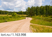 Проселочная дорога. Летний сельский пейзаж. Стоковое фото, фотограф Светлана Силецкая / Фотобанк Лори