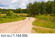 Проселочная дорога. Летний сельский пейзаж. Стоковое фото, фотограф Светлана Силецкая / Фотобанк Лори
