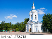Спасо-Преображенский собор (1787 г.), Выборг (2009 год). Стоковое фото, фотограф Александр Щепин / Фотобанк Лори