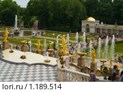 Петергоф. Фонтанный ансамбль "Большой каскад" в нижнем парке (2009 год). Редакционное фото, фотограф Александр Лядов / Фотобанк Лори
