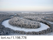 Заснеженный лес. Стоковое фото, фотограф Владимир Мельников / Фотобанк Лори