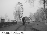 Осенний парк с колесом обозрения и удаляющейся парой. Туман. Стоковое фото, фотограф Сергей Цепек / Фотобанк Лори
