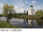 Церковь Покрова на Нерли (2009 год). Редакционное фото, фотограф Ярослава Синицына / Фотобанк Лори