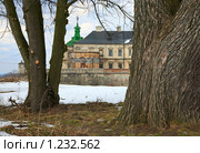 Замок ,весна (село Подгорцы, Львовская область, Украина) (2009 год). Стоковое фото, фотограф Юрий Брыкайло / Фотобанк Лори