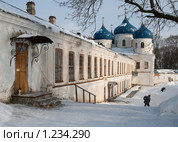 Великий Новгород. Юрьев монастырь. Крестовоздвиженский собор (2009 год). Стоковое фото, фотограф Ярослава Синицына / Фотобанк Лори