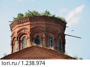 Костромская  область,Сидоровское. Крыша храма. (2008 год). Стоковое фото, фотограф Лада Иванова / Фотобанк Лори