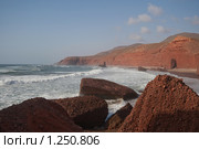 Дикая природа Марокко, пляж Легзира (2009 год). Стоковое фото, фотограф Ярослава Синицына / Фотобанк Лори