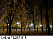 Ночь в парке. Стоковое фото, фотограф Роман Мухин / Фотобанк Лори