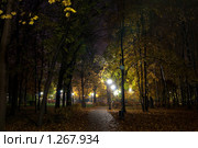 Ночная аллея. Стоковое фото, фотограф Роман Мухин / Фотобанк Лори