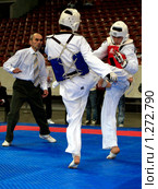 Фрагмент боя на Олимпиаде боевых искусств Martial Arts Olympic-2009. Редакционное фото, фотограф Владимир Борисов / Фотобанк Лори