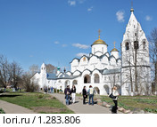 Покровский монастырь в Суздале (2009 год). Редакционное фото, фотограф Ирина Золина / Фотобанк Лори