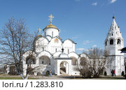 Покровский собор монастыря в Суздале (2009 год). Стоковое фото, фотограф Ирина Золина / Фотобанк Лори