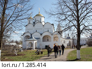 Покровский собор в монастыре Суздаля (2009 год). Редакционное фото, фотограф Ирина Золина / Фотобанк Лори