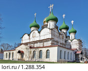 Спасо-Преображенский собор (XVI-XIXвв.) Спасо-Евфимиев монастырь. Суздаль. (2009 год). Редакционное фото, фотограф Ирина Золина / Фотобанк Лори