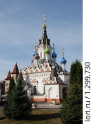 Храм во имя иконы Божией Матери "Утоли моя печали" (2009 год). Стоковое фото, фотограф Александр Легкий / Фотобанк Лори